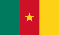 Kamerun Vizesi